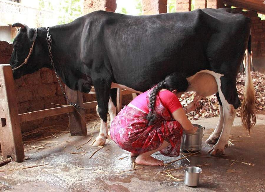 21. பால் மாறாட்டம்