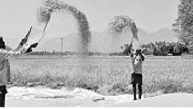 காற்றுள்ளபொழுதே தூற்றிக்கொள்!