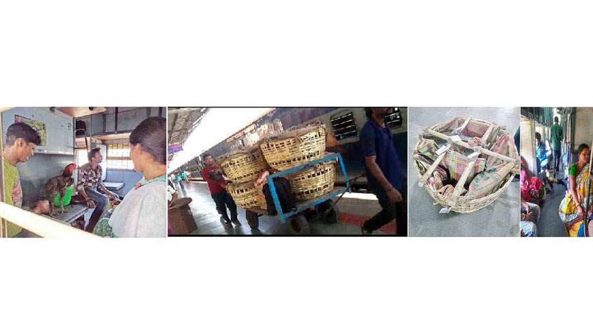 சேவை ரயிலா, சேவல் ரயிலா? கேள்விக்குறியாகும் பயணிகள் நலன்...