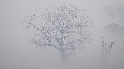 காஷ்மீரில் கடும் பனிப்பொழி