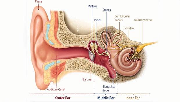கருவூலம்: ஒலி உலகம்!