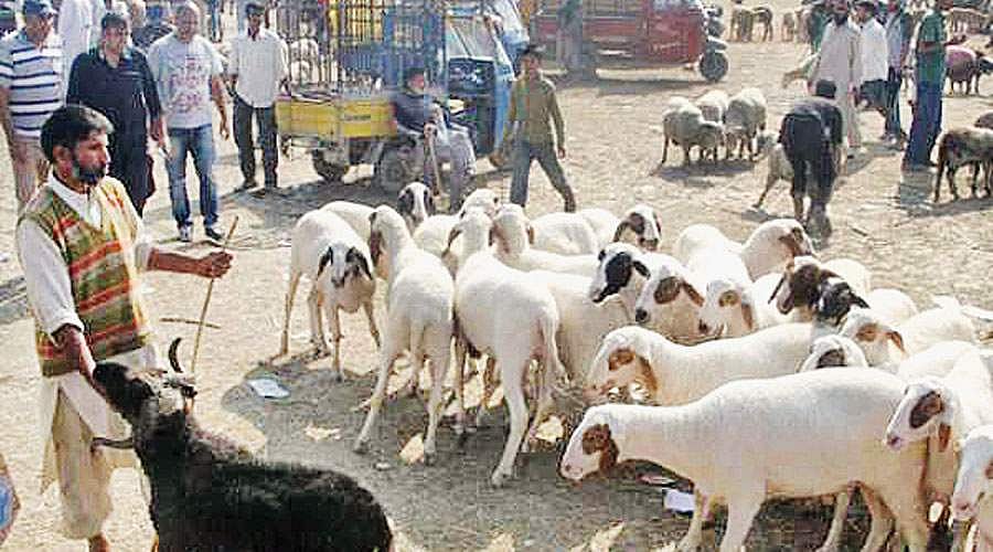 கெங்குரி  சந்தை!