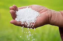 நடப்பு நிதியாண்டின் யூரியா உற்பத்தி 275.75 லட்சம் டன்!