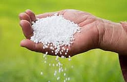 நடப்பு நிதியாண்டின் யூரியா உற்பத்தி 275.75 லட்சம் டன்!