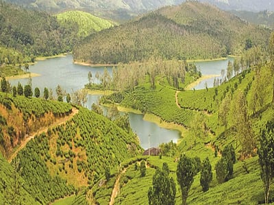 ஏலகிரி மலையில் தாவரவியல் பூங்கா பயன்பாட்டுக்கு வருமா?
சுற்றுலா பயணிகள் எதிா்பாா்ப்பு