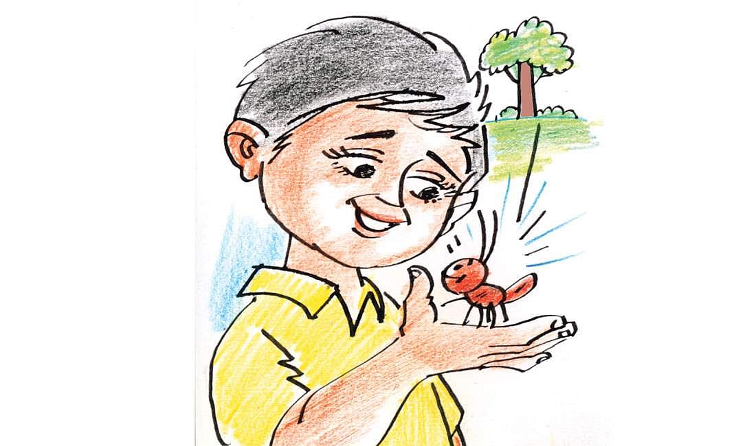 எறும்புகளின் அரசாங்கம்