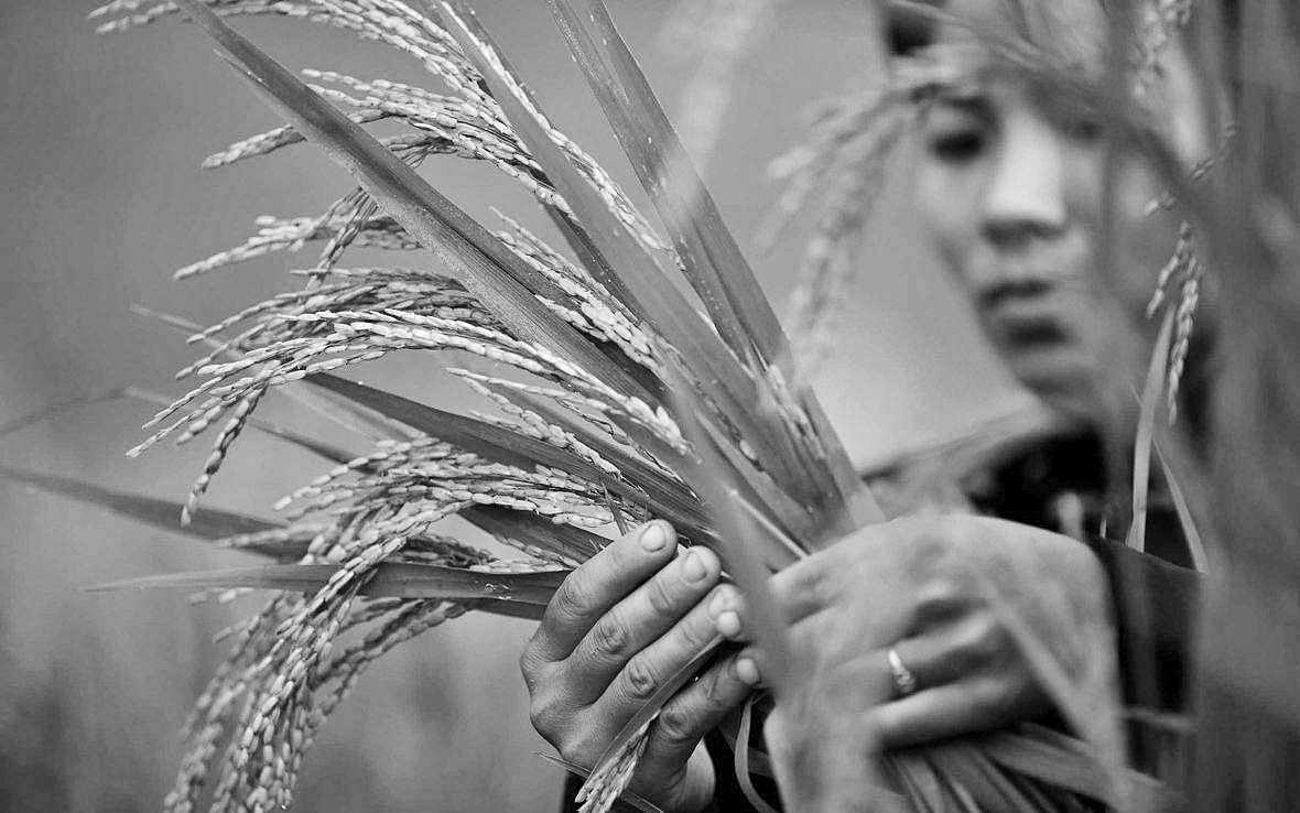 அத்தியாயம் - 38