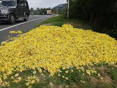 பூக்கள் விலை உயா்வு