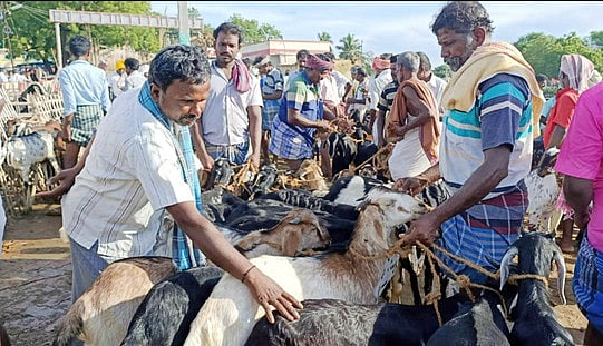 காட்சிப் பொருளான காரைக்கால் உழவர் சந்தை: மீண்டும் பயன்பாட்டுக்குக் கொண்டுவரக் கோரிக்கை