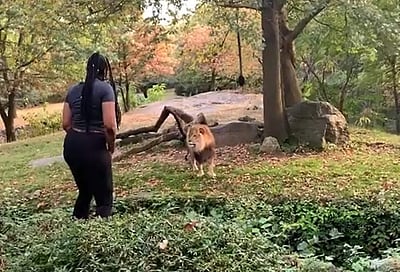 உண்மையில் இவர்தான் நிஜ சிங்கப்பெண்ணே! விடியோ பார்த்தால் புரியும்..