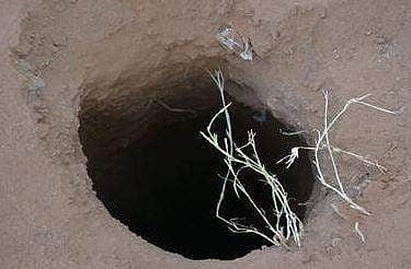 ஜோத்பூர் அருகே ஆழ்துளைக் கிணற்றுக்குள் விழுந்த 5 வயது சிறுவன்