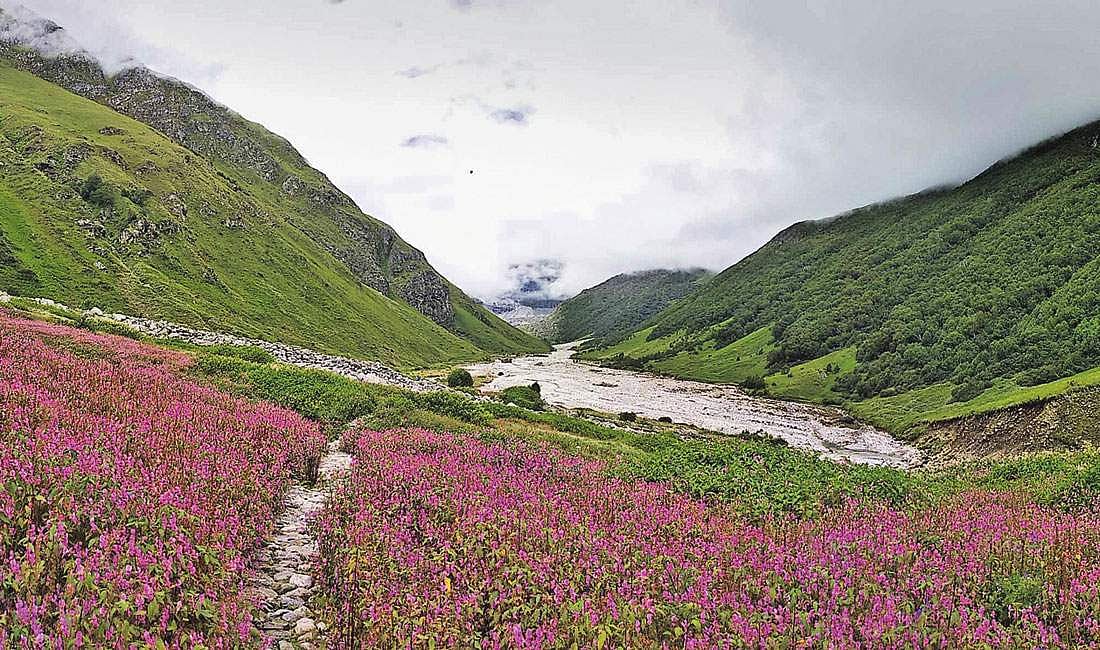 கருவூலம்: உத்தரகண்ட் மாநிலம்