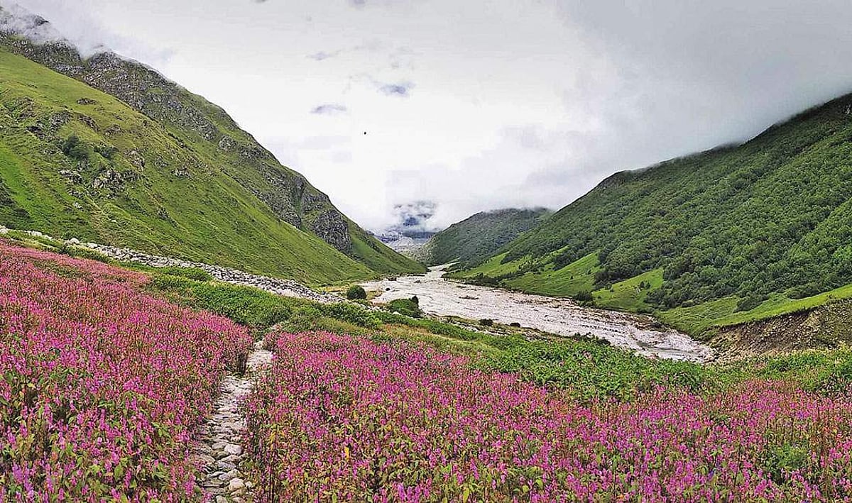கருவூலம்: உத்தரகண்ட் மாநிலம்