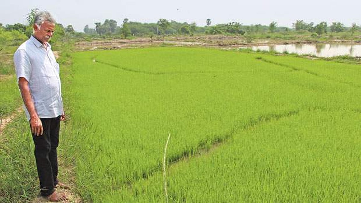 வறண்ட பூமியை வளமாக்கும் விவசாயி