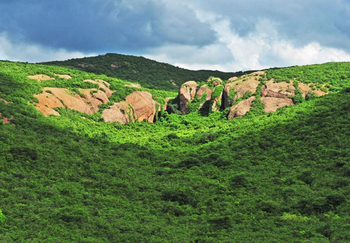 கீழடி ஸ்பெஷல் : ஆதி தமிழர்கள் வாழ்ந்த குடியம்