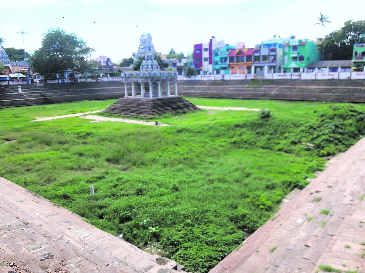 சுற்றுச் சூழல் சீா்கேட்டின் விளிம்பில் திருவொற்றியூா் தியாகராஜா் திருக்கோயில்