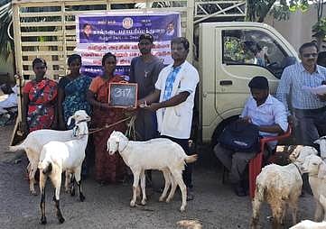 4 ஆண்டுகளில் ரூ.2.50 கோடி மதிப்பில் 1,400 பேருக்கு விலையில்லா ஆடுகள்