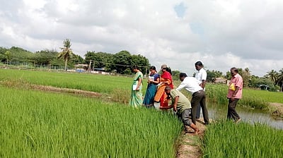 வேளாண்மையில் மேலாண்மை
