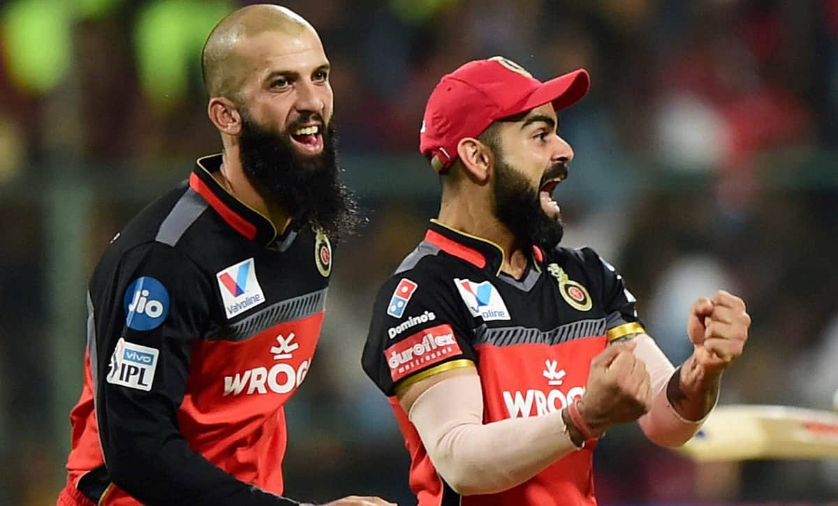 ஆர்சிபி அணி வெற்றி பெற நாங்களும் நன்கு விளையாட வேண்டும்: வெளிநாட்டு வீரர் ஒப்புதல்