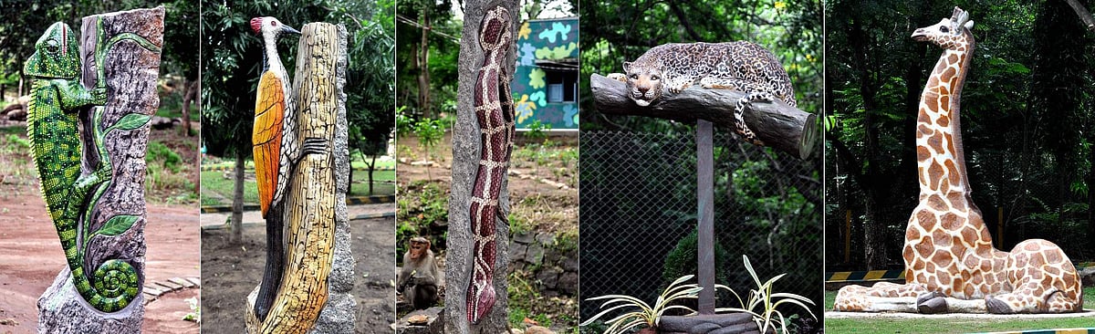 புதுப்பொலிவு பெறும் சேலம் குரும்பப்பட்டி வன உயிரியல் பூங்கா!நடுத்தர நிலைக்கு தரம் உயா்த்த நட வடிக்கை