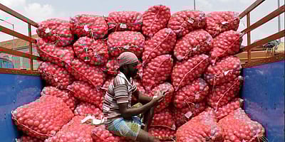உங்கள் கண்ணீரைத் துடைக்க எகிப்தில் இருந்து வருகிறது 6,090 மில்லியன் டன் வெங்காயம்