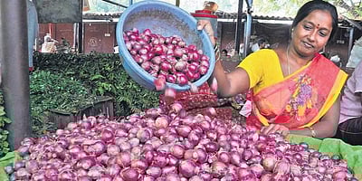 இங்கு மட்டும் ஒரு கிலோ வெங்காயம் ரூ.25 தானாம்! அதுவும் முதல்வரின் ஏற்பாடாம்!!