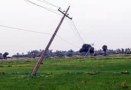 மேட்டூரில் கனமழை: மின்கம்பங்கள் சாய்ந்து வீடுகள் சேதம்