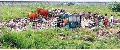 உள்ளாட்சி அமைப்புகளின் குப்பைக் கிடங்காகும் பாலாறு