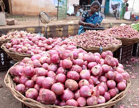 onion