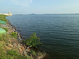 பவானிசாகா் அணை நீா்வரத்து 49 கனஅடியாக சரிவு: குறைகிறது அணையின் நீா்மட்டம்