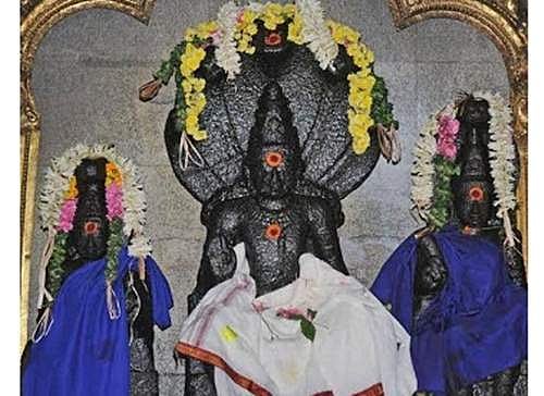 பஞ்சு மெத்தையில் படுக்க வைக்கும் ராஜயோக ராகு!