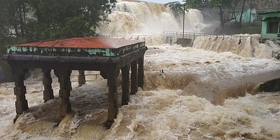 திற்பரப்பு அருவியில் குளிக்க 4 வது நாளாகத் தடை!