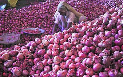 தீபாவளி முடிந்தும் முடியாத விலையேற்றம்! மீண்டும் சதமடிக்குமா வெங்காயம் விலை!!