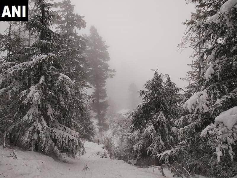 இமாச்சலில் நடுங்கும் குளிர்: மெய்சிலிர்க்க வைக்கும் ஒரு புகைப்படம்!