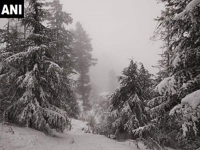 இமாச்சலில் நடுங்கும் குளிர்: மெய்சிலிர்க்க வைக்கும் ஒரு புகைப்படம்!