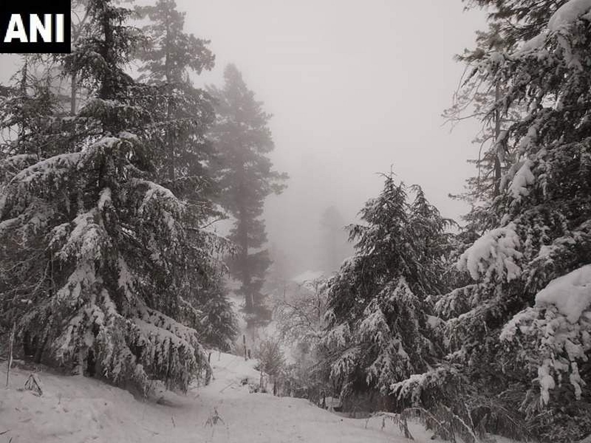 இமாச்சலில் நடுங்கும் குளிர்: மெய்சிலிர்க்க வைக்கும் ஒரு புகைப்படம்!