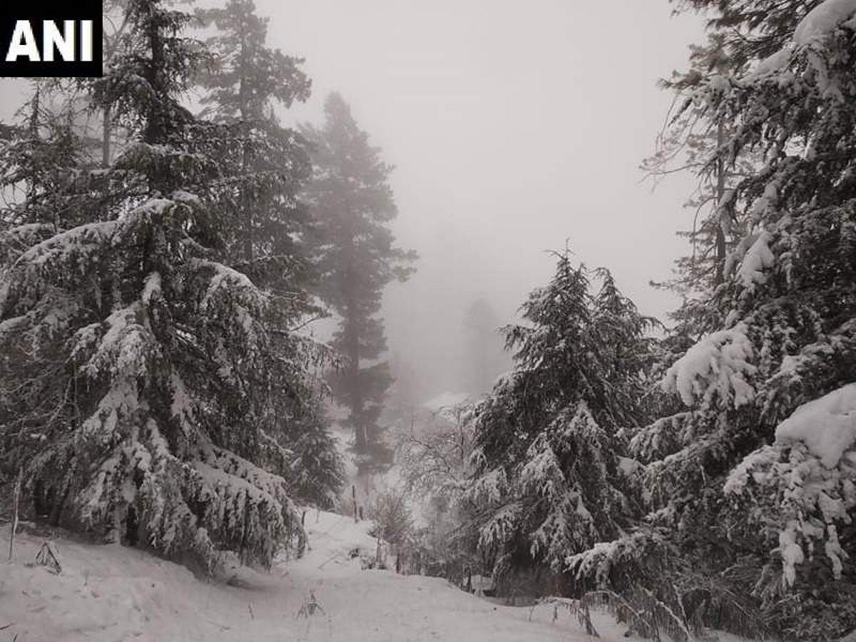 இமாச்சலில் நடுங்கும் குளிர்: மெய்சிலிர்க்க வைக்கும் ஒரு புகைப்படம்!