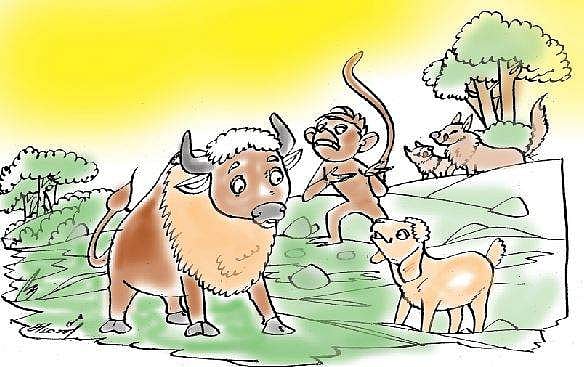 வழி தவறிய ஆட்டுக்குட்டி!