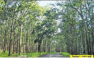 பார்த்து.. ரசிக்க.. ஆச்சரியமளிக்கும் ஜார்க்கண்ட்!