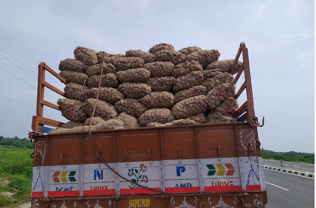 ஒடிஸாவிலும் விற்பனைக்கு வந்தது துருக்கி வெங்காயம்