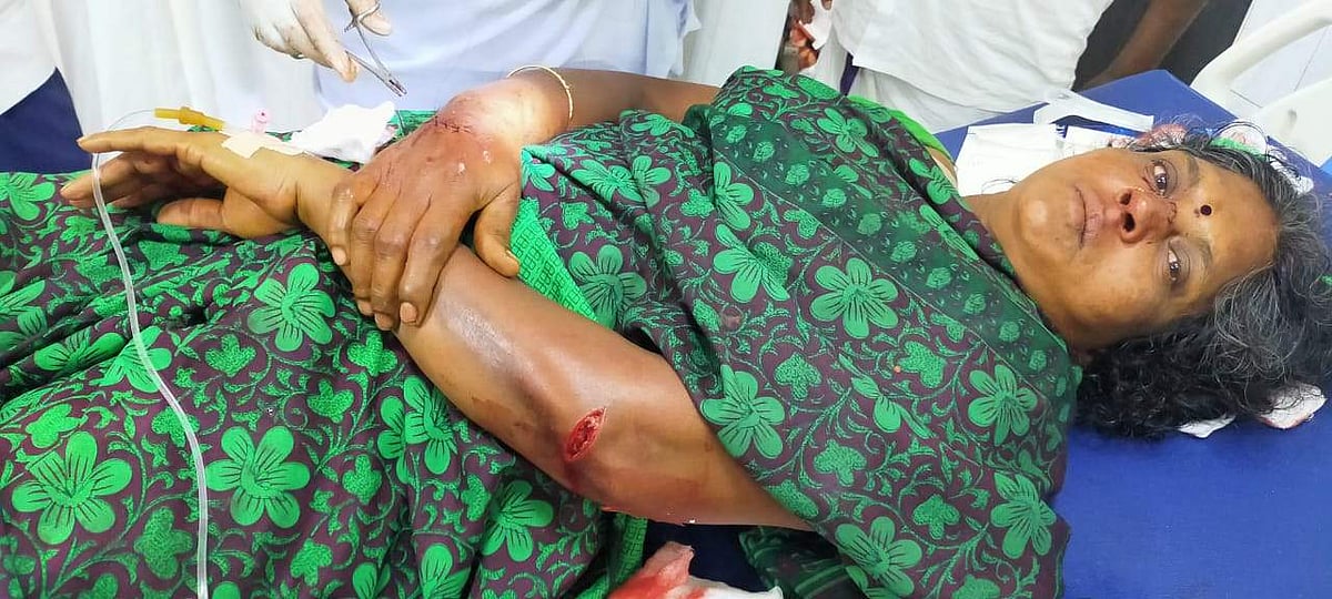 கோலமிட்டுக்கொண்டிருந்த பெண்ணுக்கு அரிவாள் வெட்டு