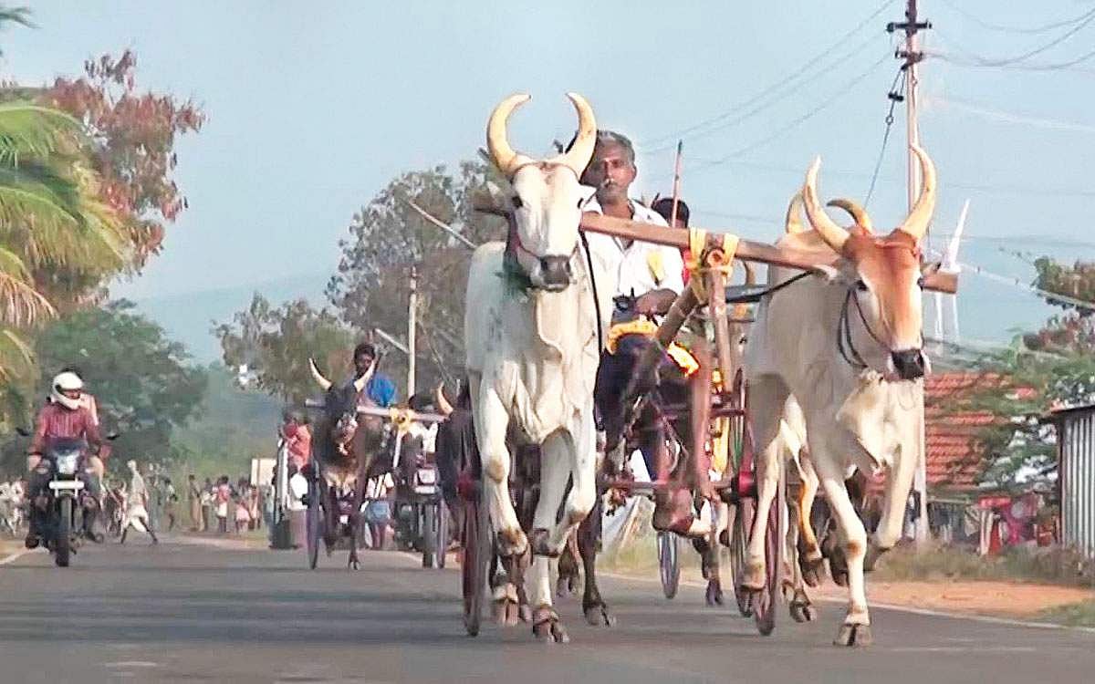 முதல் பரிசு