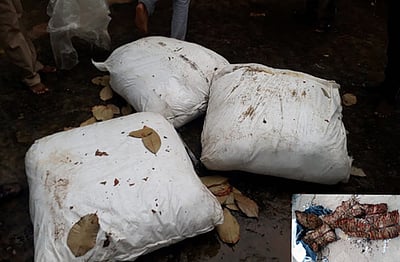 இலங்கைக்கு கடத்துவதற்காக பதுக்கிய பீடி இலை, மஞ்சள், ஆசிட் பறிமுதல்