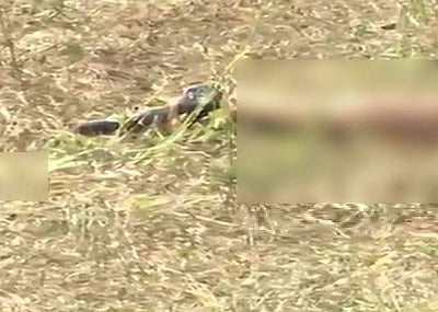 ஹைதராபாத் என்கவுன்டரில் சுட்டுக்கொல்லப்பட்ட குற்றவாளியின் கையில் துப்பாக்கி!