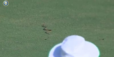 மைதானத்துக்குள் நுழைந்து கிரிக்கெட் ஆட்டத்தை நிறுத்திய பாம்பு! (விடியோ)