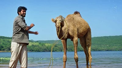 பக்ரீத் படத்தின் டிரைலர்