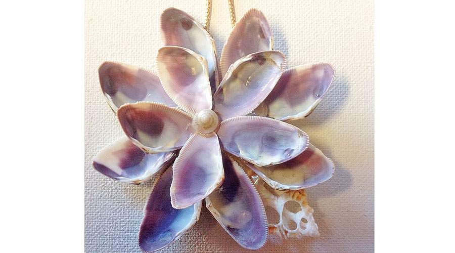 கிளிஞ்சல்களும் காசாகலாம்!