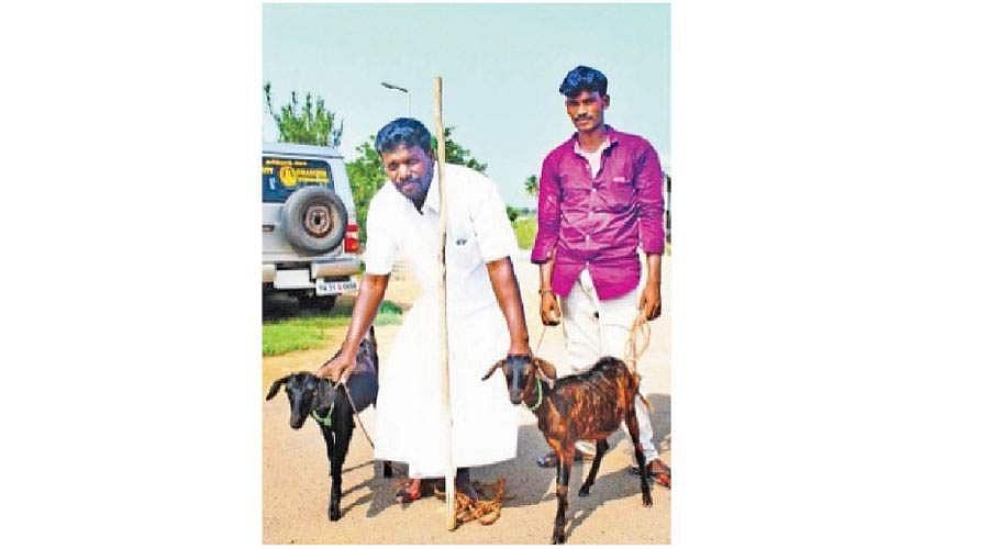 பாராட்டுப் பாமாலை!  - 34:  வாழ்த்திடுவோம் வாரீர்!