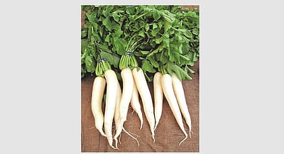 உங்கள் குரல் இனிமையாக வேண்டுமா? இதை சாப்பிடுங்கள்!