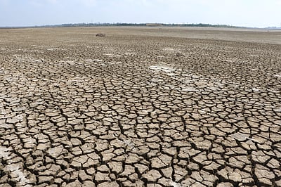 மழைக்காலத்தில் 410 மாவட்டங்களில் வறட்சி: என்னவாகும் உணவு கையிருப்பு?